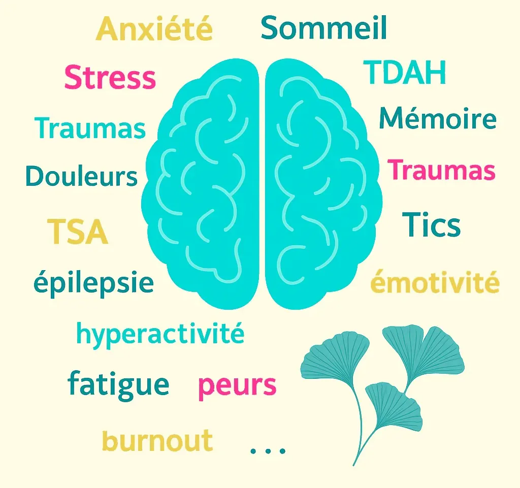 Généralités du neurofeedback
